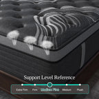 12" Gel Memory Foam Mattress